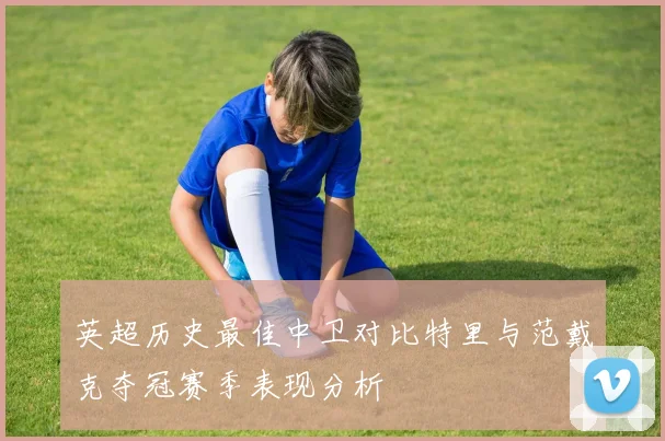 英超历史最佳中卫对比特里与范戴克夺冠赛季表现分析