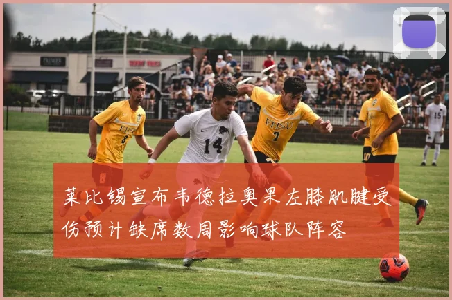 莱比锡宣布韦德拉奥果左膝肌腱受伤预计缺席数周影响球队阵容