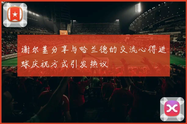 谢尔基分享与哈兰德的交流心得进球庆祝方式引发热议