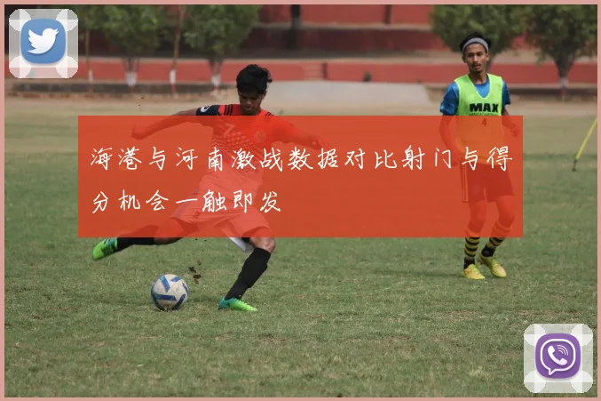 海港与河南激战数据对比射门与得分机会一触即发